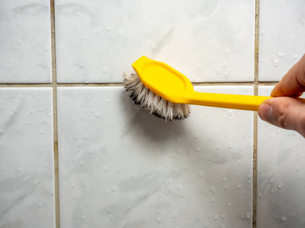Trusted Meeker, OK Mold Removal Experts