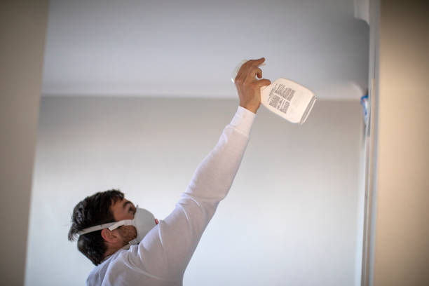 Best Same-Day Mold Removal  in Meeker, OK