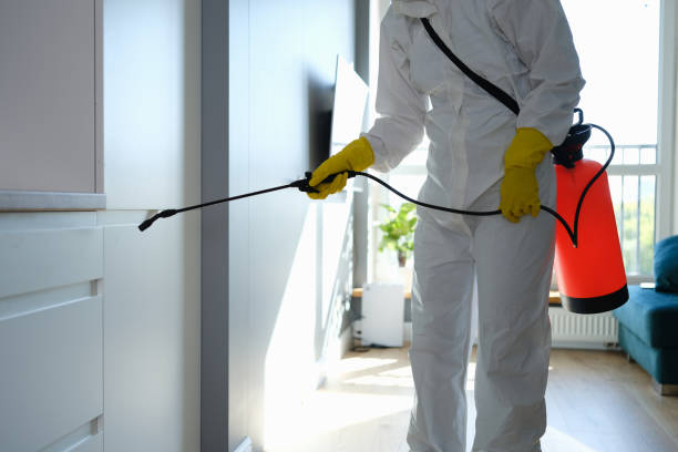 Best Attic Mold Removal  in Meeker, OK