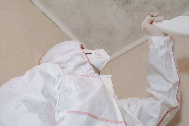 Best Professional Mold Removal  in Meeker, OK