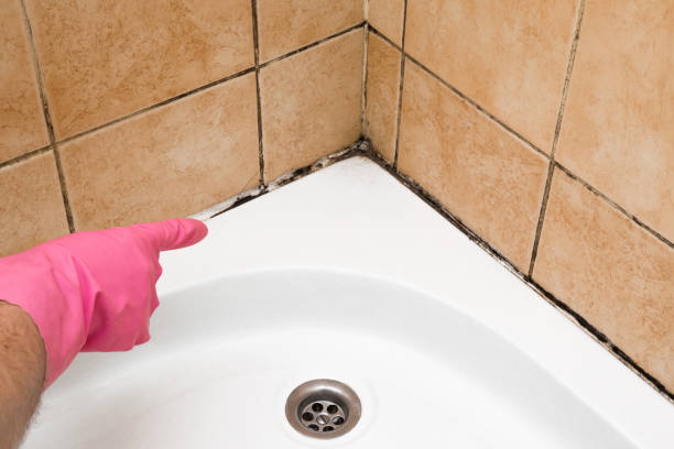 Best Office Mold Removal Services  in Meeker, OK